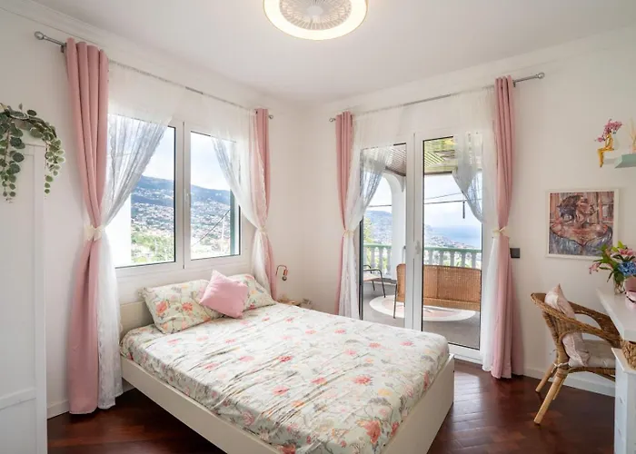 Flory House By Alma